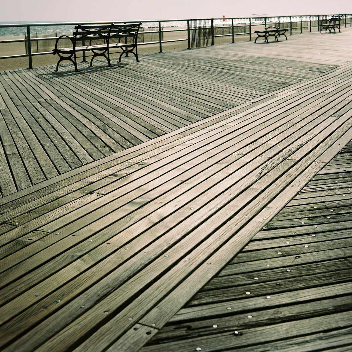 Accessible boardwalk path through greenery