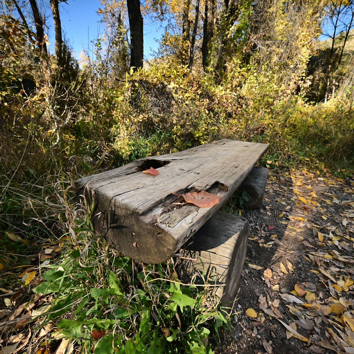 Family resting at a shaded trail bench