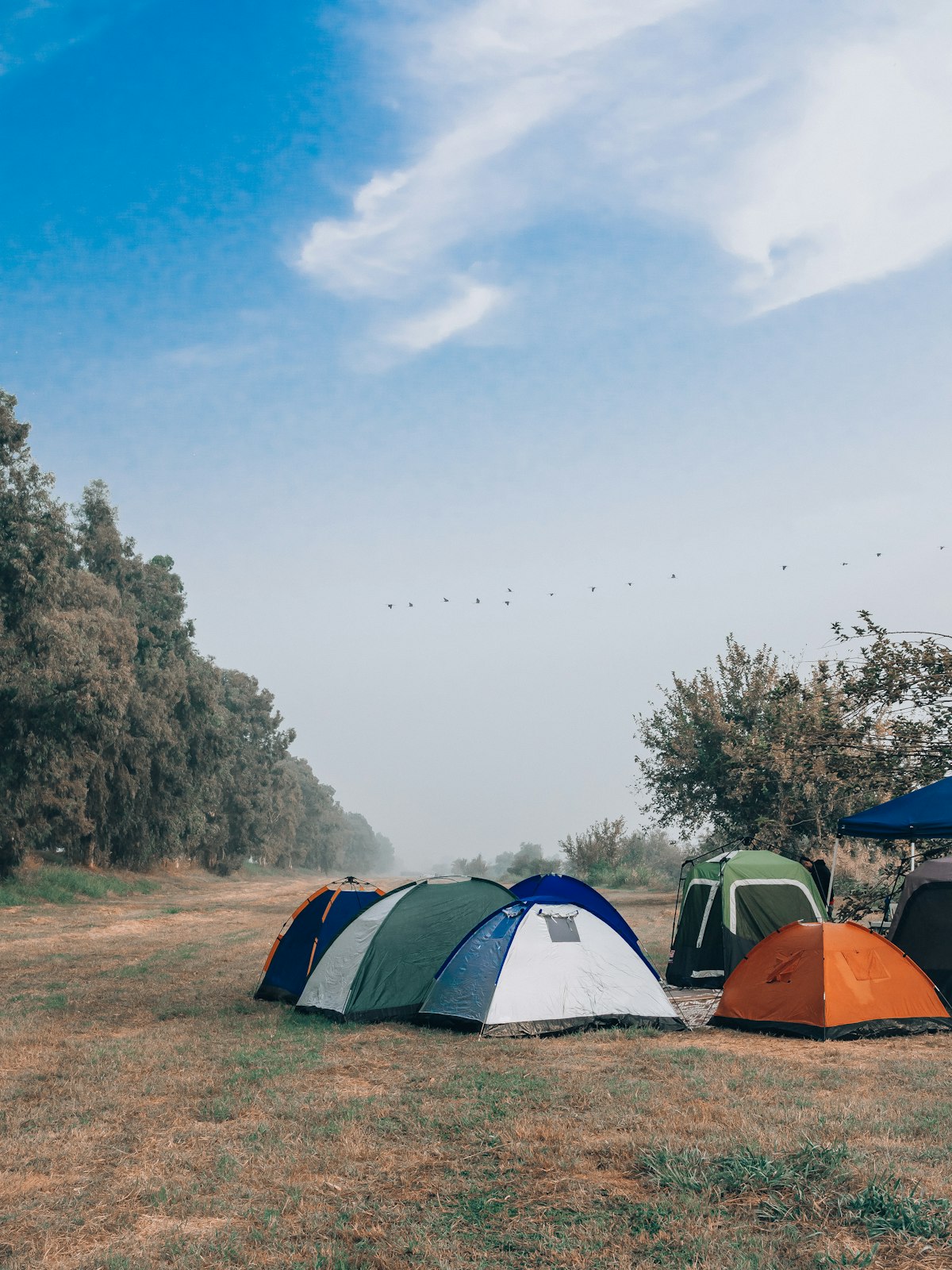 Family tent set up at a campsite