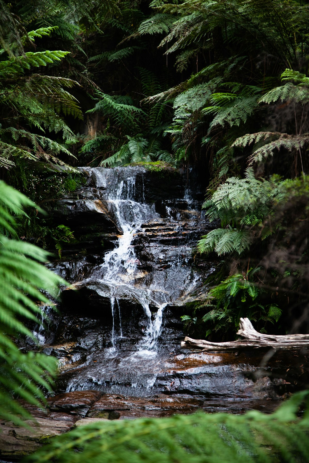 Family hiking near a waterfall
